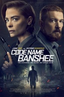 Affiche du film Les Assassins