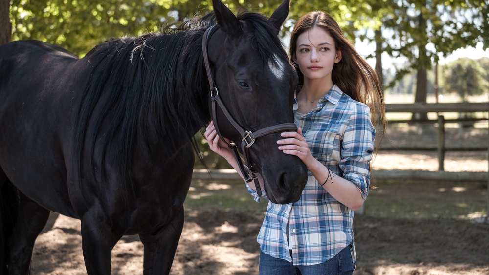 Une scène du film Black Beauty