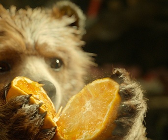 Une scène du film Paddington