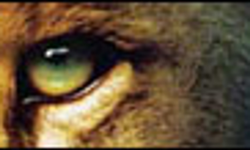 L'affiche officielle de Narnia
