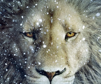 Affiche du film Narnia: The Voyage of The Dawn Treader