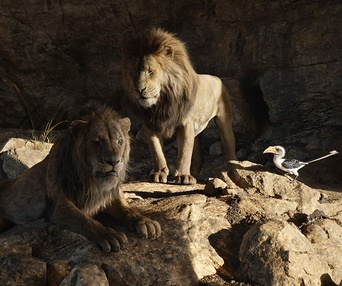Une scène du film The Lion King