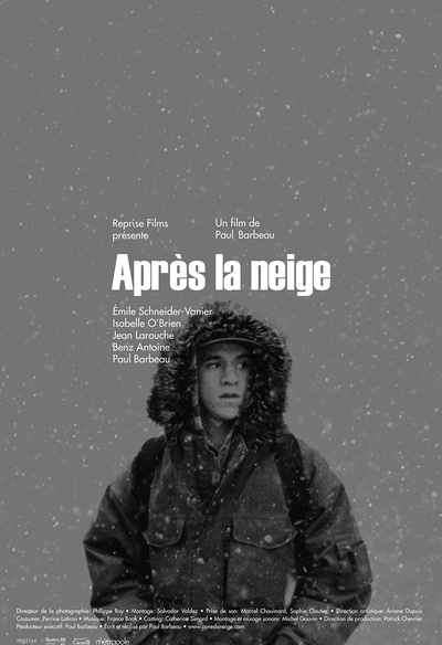 Affiche du film Après la neige