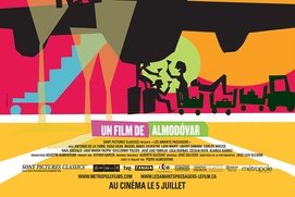 Affiche du film Les amants passagers