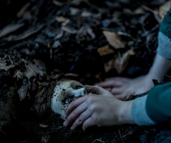 Une scène du film Brahms: The Boy II