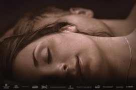 Affiche du film La fille du Martin