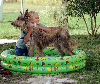 Scène du film Winn-Dixie