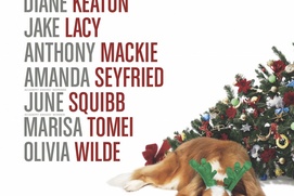 Affiche du film Love the Coopers