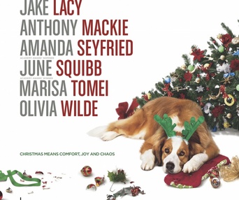 Affiche du film Love the Coopers