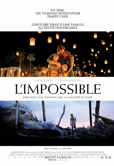 Affiche du film L'impossible