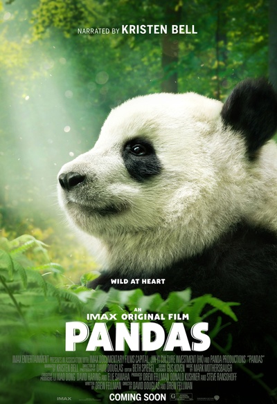Affiche du film Pandas