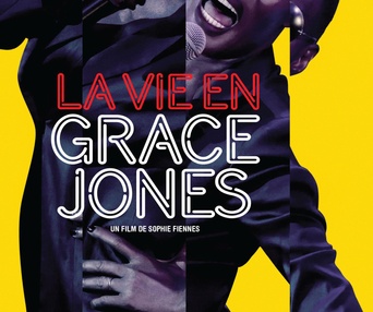 Affiche du film La vie en Grace Jones