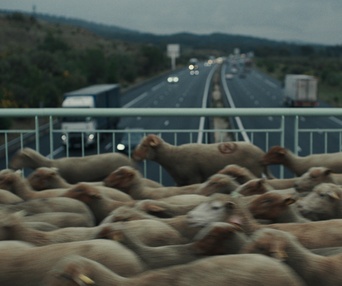 Image du film Bergers
