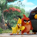 Une scène du film Angry Birds