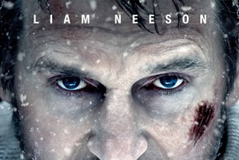 Affiche du film Peur grise
