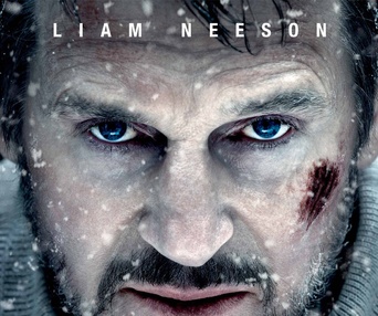 Affiche du film Peur grise