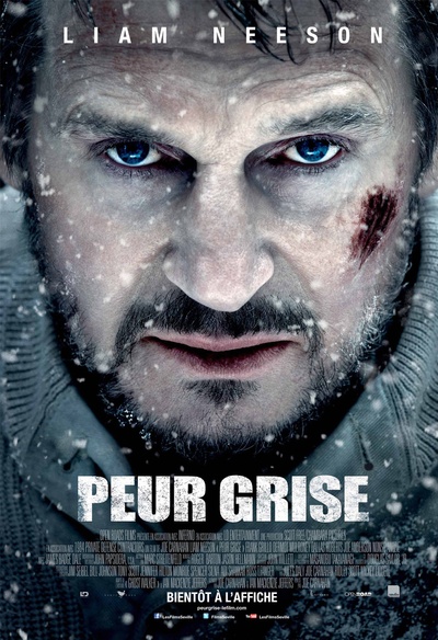 Affiche du film Peur grise
