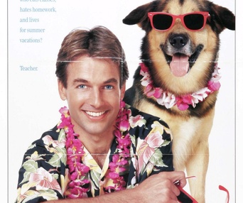 Affiche du film Summer School
