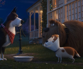 Une scène du film The Secret Life Of Pets 2