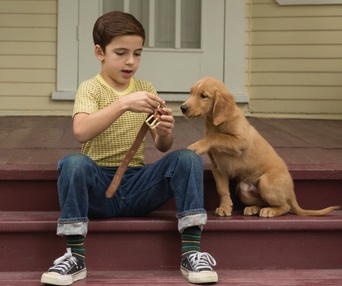 Une scène du film A Dog's Purpose