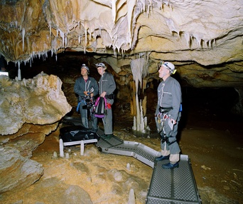 Sur le plateau du film Cave of Forgotten Dreams