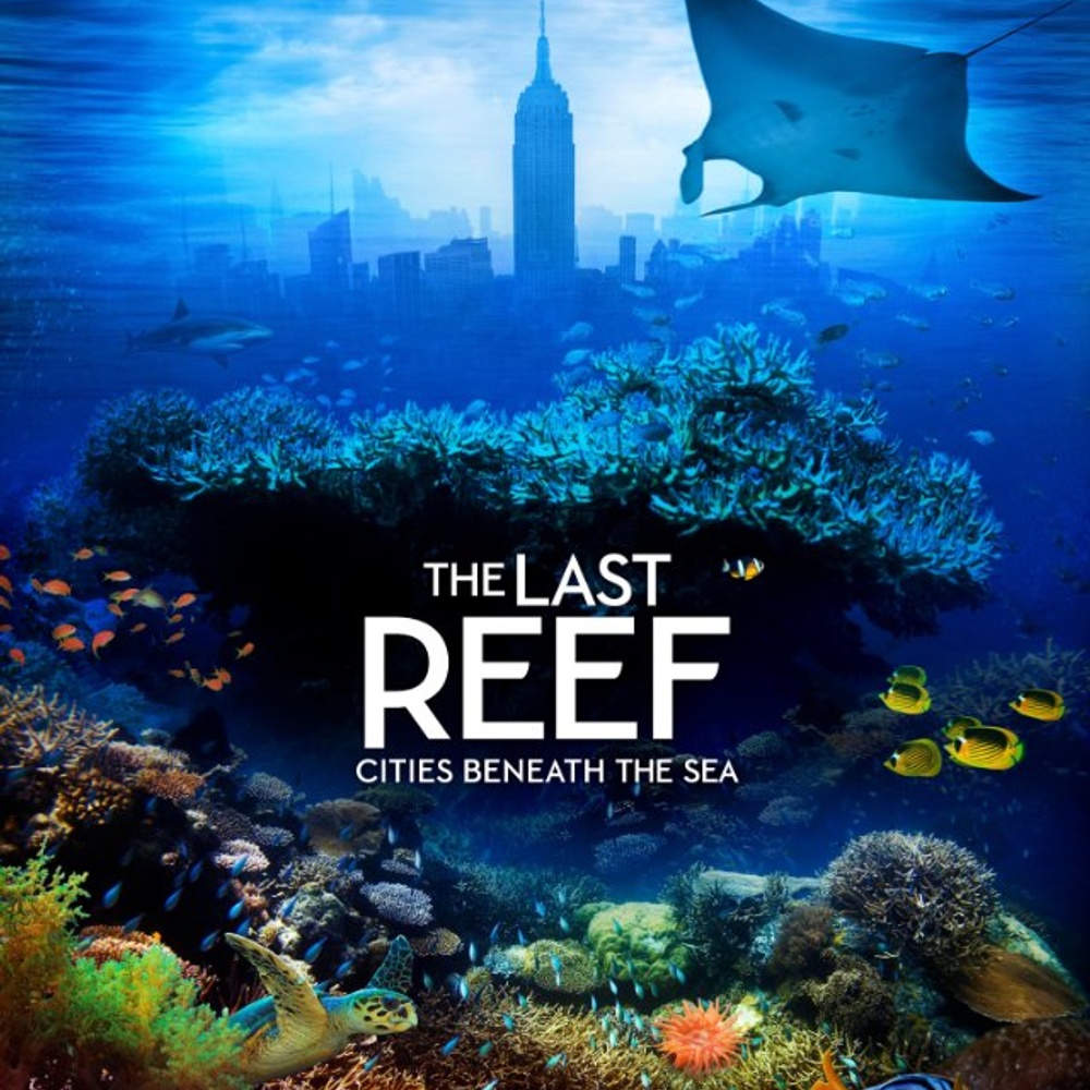 Affiche du film The Last Reef