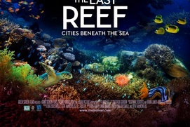 Affiche du film The Last Reef