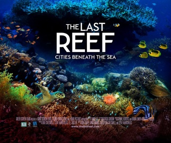 Affiche du film The Last Reef