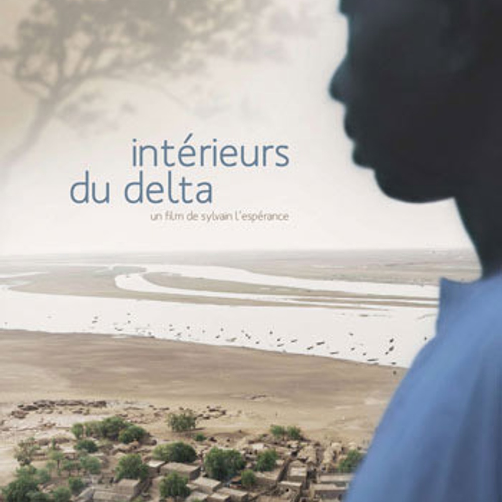 Affiche du film Intérieurs du delta