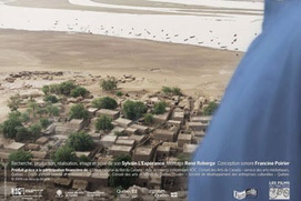 Affiche du film Intérieurs du delta