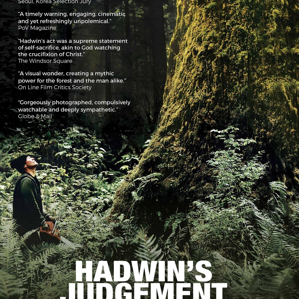Affiche du film Hadwin's Judgement