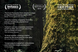 Affiche du film Hadwin's Judgement