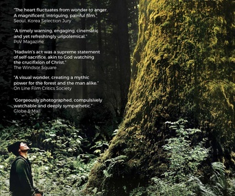 Affiche du film Hadwin's Judgement
