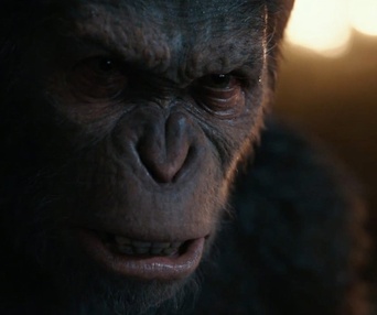 Une scène du film War for the Planet of the Apes