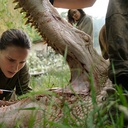 Une scène du film Annihilation