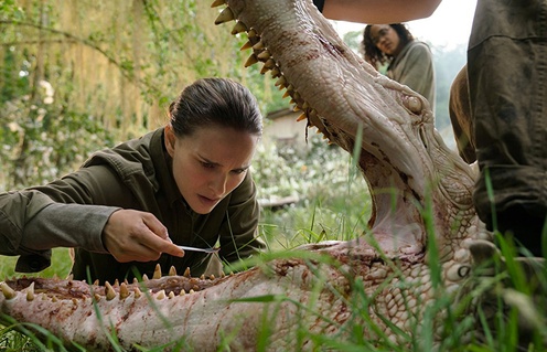 Une scène du film Annihilation