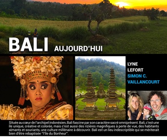 Affiche du film Les aventuriers voyageurs - Bali