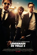 Affiche du film Lendemain de veille 3
