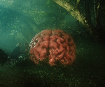 Images du film Rumeurs