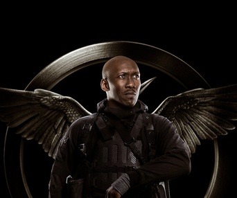 Affiche du film The Hunger Games: Mockingjay - Part 1