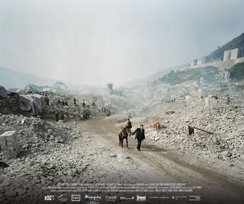 Affiche du film Manufactured Landscapes