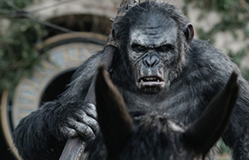 Une scène du film Dawn of the Planet of the Apes
