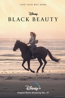 Affiche du film Black Beauty