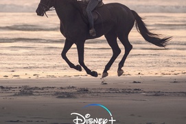 Affiche du film Black Beauty