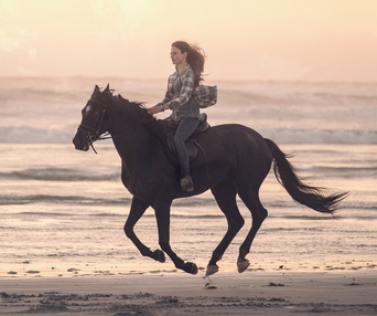 Affiche du film Black Beauty