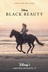 Affiche du film Black Beauty