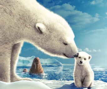 Affiche du film