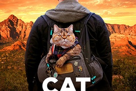 Affiche du film Cat Daddies