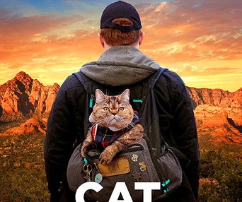 Affiche du film Cat Daddies