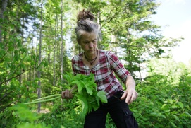 Image du film La famille de la forêt